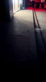 #贝拉的封面