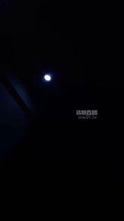 TLWW21741【果冻S】掐乳-坐脸窒息-恋足狂舔的封面