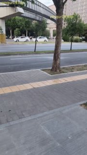 贵州翠翠_户外公测_厕奴贞操锁_手铐_舔脚_黄金调教_口舌舔菊清理的封面