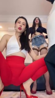 【松紫也狗】183 双主炸狗！【松紫大大】的封面