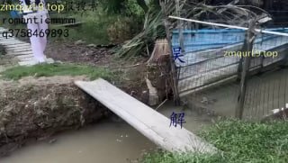 广州 香菜 s_户外农场调教_训狗_钻胯_舔鞋底_喂狗粮_踩手_骑马_最后关鸡圈里的封面