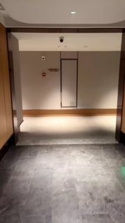 #长沙猫猫的封面