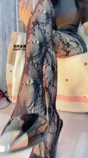 【大二苒苒】028 第一视角-榨狗的封面