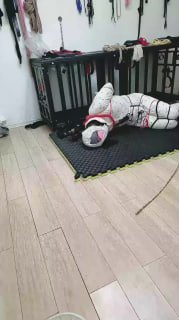 TLWW24739【安心S】五花大绑封嘴囚禁虐【中】的封面