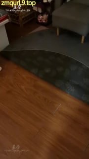 高丽_母狗超细致口舌舔菊舔B 女奴的封面