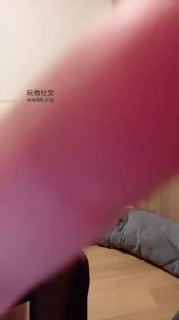 #小渔情侣的封面