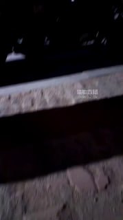 TLWW24709【妍妍S】洛丽塔户外调狗的封面
