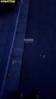 #白鹭 酒馆门口开发精神小妹的封面