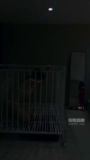 #黛樱的封面