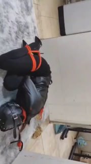 #PP恋物 #PP的封面