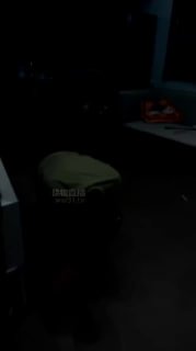 #k 咀嚼黑丝-强迫狗盆喂食的封面