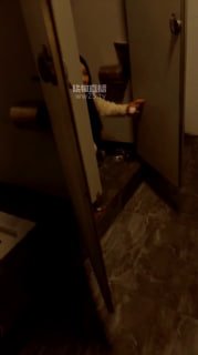 TLWW24259【阳阳酱】深夜公厕多S群调的封面