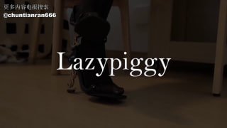 6的封面