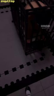 #百柔 圈养狗笼犬化场的封面