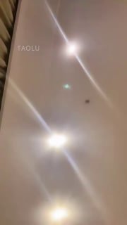 【晨颜S】011_车模美腿肉丝高跟羞辱_看看贱狗怎么伺候女王_VTL14519的封面