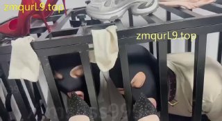 美少女母女主_圈养双狗_狗笼内一人舔女主一只脚的封面