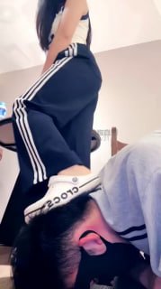 #Roya的封面