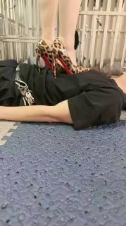 #扶摇的封面