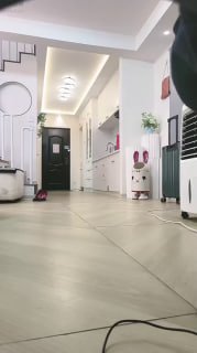 #胡S的封面