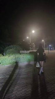 #蔻依诺的封面
