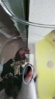 TLWW22239【晓安公主】第一视角_白丝白鞋镜头憋精踩射的封面