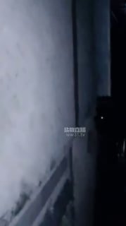 #PP恋物的封面