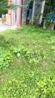 【狗哥M】1337 搭讪酒店大堂经理.mp4的封面