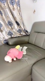 TLWW27418【银河S】第一视角_剧情裸足惩罚小偷_mp4的封面