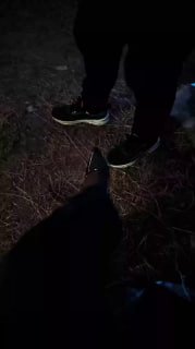 TLWW24640【淘淘】户外遛狗犬化的封面