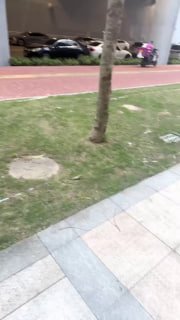 【狗哥M】1267 户外开发-楼道白袜调【vito】的封面