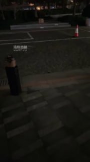 TLWW22576【灵芷S】双S户外开发_双S_户外把老板当狗训的封面