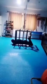 TLWW27147【青云艾斯】吊笼体罚.mp4的封面