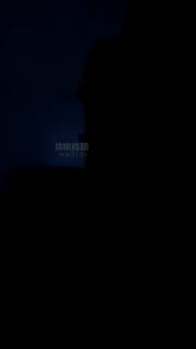 #短发的封面