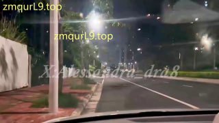德拉训犬员_户外_手铐_狗链牵着遛狗_踩头磕头_踩手的封面