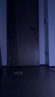 #蕾拉的封面