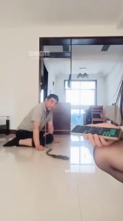 #刑狗M的封面
