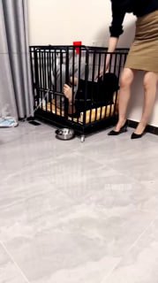 #琪琪的封面