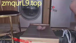 小姐姐_捆绑贱狗_老爹鞋_全体重踩蛋蛋_惨叫连连的封面