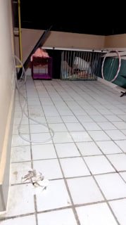 #樱桃的封面